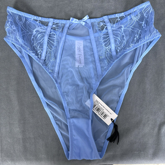 Playful Promises Fallon High Waist Lace & Mesh Briefs Panty US Size 8 UK 12 Blue - Picture 7 of 9
